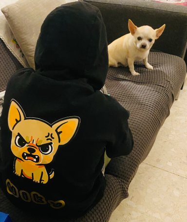 Sweat noir Chihuahua Une personne en sweat noir avec un dessin de chien, assise près d'un petit chien.